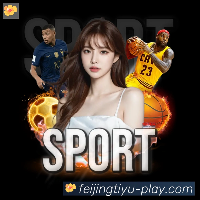 App界面